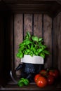 Fresh ripe garden tomatoes and basil on wooden background Royalty Free Stock Photo