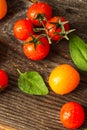 Fresh ripe garden tomatoes and basil on wooden table Royalty Free Stock Photo