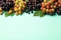Fresh ripe grape on mint background Royalty Free Stock Photo
