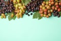 Fresh ripe grape on background, space for text Royalty Free Stock Photo