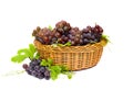 Fresh ripe grapes Vitis vinifera with leaves in the basket on white background Royalty Free Stock Photo