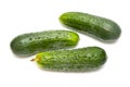 Fresh ripe green cucumbers Royalty Free Stock Photo