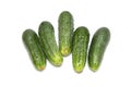 Fresh ripe green cucumbers Royalty Free Stock Photo