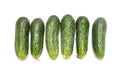 Fresh ripe green cucumbers Royalty Free Stock Photo