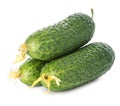 Fresh ripe green cucumbers isolated on white background Royalty Free Stock Photo