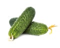 Fresh ripe green cucumbers isolated on white background Royalty Free Stock Photo