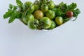 Fresh ripe green garden tomatoes in white ceramic bowl, white background Royalty Free Stock Photo