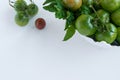 Fresh ripe green garden tomatoes in white ceramic bowl, white background Royalty Free Stock Photo