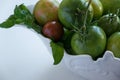 Fresh ripe green garden tomatoes in white ceramic bowl, white background Royalty Free Stock Photo