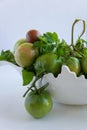 Fresh ripe green garden tomatoes in white ceramic bowl, white background Royalty Free Stock Photo