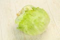 Fresh ripe green Iceberg salad Royalty Free Stock Photo