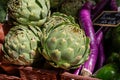 Fresh ripe green organic artichokes heads on local farmers market in Dordogne, France