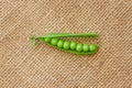 Fresh ripe green peas legumes on a brown bag Royalty Free Stock Photo