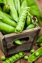 Fresh ripe green peas Royalty Free Stock Photo