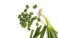 Fresh ripe green spring onions shallots or scallions on white background Royalty Free Stock Photo