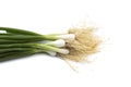 Fresh ripe green spring onions shallots or scallions on white background Royalty Free Stock Photo