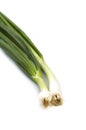 Fresh ripe green spring onions shallots or scallions on white background Royalty Free Stock Photo