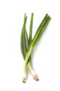 Fresh ripe green spring onions shallots or scallions on white background Royalty Free Stock Photo