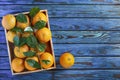 Fresh ripe healthy citrus fresh oranges wooden crate, thailand, citrus, citrus fruit, valencia Royalty Free Stock Photo