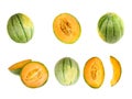 Fresh ripe honeydew, muskmelon, cantaloupe melon, melon half cut set isolated Royalty Free Stock Photo