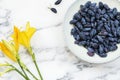 Fresh ripe honeysuckle berries in a ceramic bowl Royalty Free Stock Photo