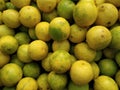 Fresh and ripe Indian lemon