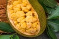 Fresh ripe jackfruit. Fresh sweet jackfruit segment ready for eat.