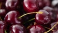 Fresh, ripe, juicy cherries rotate