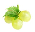 Fresh ripe juicy grapes on white