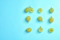 Fresh ripe juicy green grapes on color background Royalty Free Stock Photo