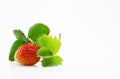 Fresh, ripe, juicy and mouth-watering strawberries with green leaves Royalty Free Stock Photo