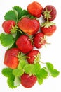 Fresh, ripe, juicy and mouth-watering strawberries with green leaves Royalty Free Stock Photo