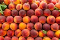 Fresh ripe juicy peaches background. Closeup. Summer harvest concept