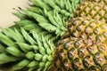 Fresh ripe juicy pineapples on beige background, closeup Royalty Free Stock Photo