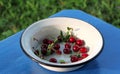 Red cherries in white bowl on wood table on green grass meadow background. Summer berries concept Royalty Free Stock Photo