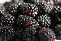 Fresh ripe juicy shiny blackberries close-up background Royalty Free Stock Photo
