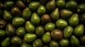 Fresh ripe large avocados with water drops, green avocados background. Royalty Free Stock Photo