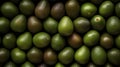 Fresh ripe large avocados with water drops, green avocados background. Royalty Free Stock Photo