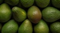 Fresh ripe large avocados with water drops, green avocados background. Royalty Free Stock Photo