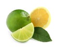 Fresh ripe lemon, limes and green leaf on white background Royalty Free Stock Photo