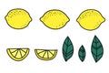 Fresh ripe lemon vector flat illustration in doodle style. Set of sliced fruits, whole, and leaves Royalty Free Stock Photo
