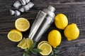 Fresh ripe lemons with shaker on wooden table Royalty Free Stock Photo