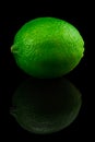 Fresh ripe lime isolated on black background Royalty Free Stock Photo