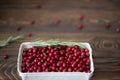 fresh ripe lingonberries in a craft box Royalty Free Stock Photo