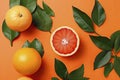 Fresh ripe mandarins, grapefruit and oranges with green leaves on orange background