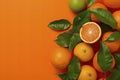 Fresh ripe mandarins, grapefruit and oranges with green leaves on orange background