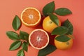 Fresh ripe mandarins, grapefruit and oranges with green leaves on orange background