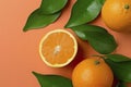 Fresh ripe mandarins, grapefruit and oranges with green leaves on orange background