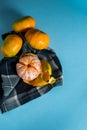 Fresh ripe mandarins isolated on blue background Royalty Free Stock Photo