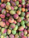 Fresh Mangoes at a Farmer`s Market in Brazil Royalty Free Stock Photo